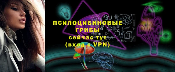 крисы Михайловск