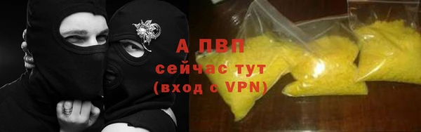 крисы Михайловск