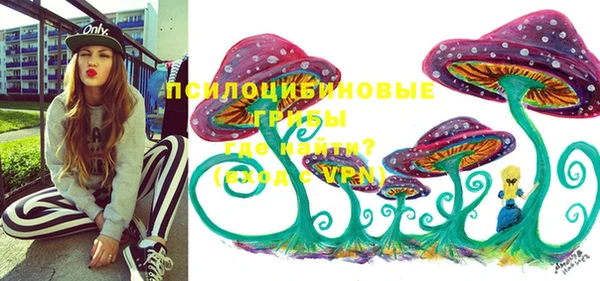 крисы Михайловск
