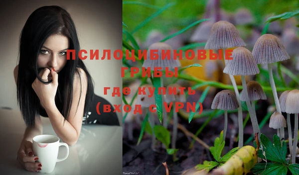 крисы Михайловск