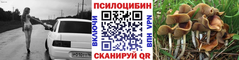 мега ссылка  Весьегонск  Галлюциногенные грибы ЛСД 